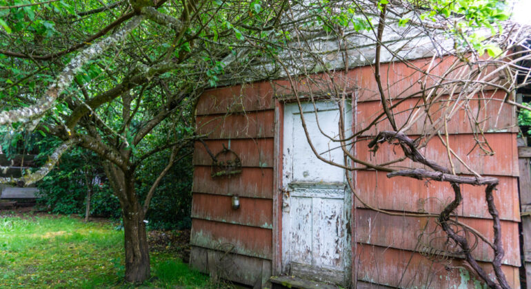 vocht in houten tuinhuis of houten bijgebouw