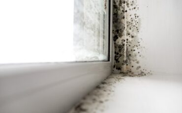 condens-schimmel-in-huis